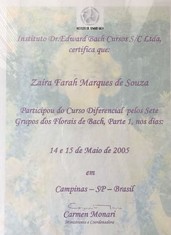 certificados zaira farah (5).jpeg