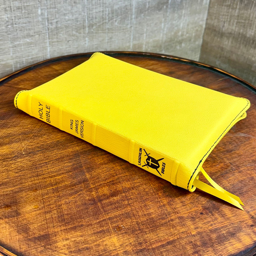 Thumbnail: Bumblebee Themed Rebind - King James Version Paragraph Style Rebind