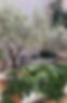 terrasse 2.jpg