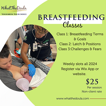 WTD Templates (2).png