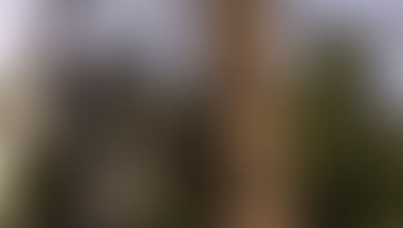 Een koninklijk verhaal in Bouillon