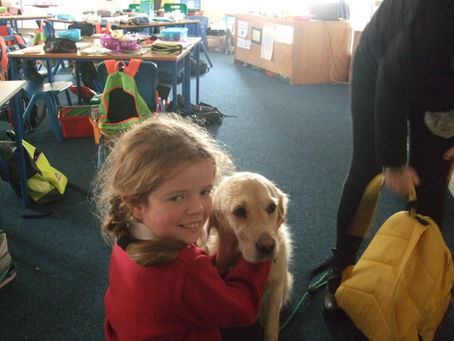 Visit from the Dogs Trust