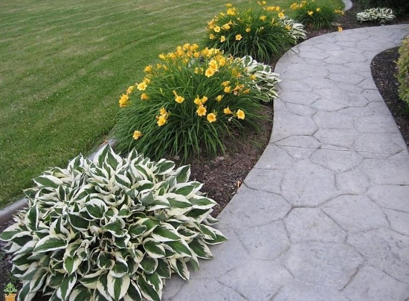 Flower Walkway.jpg
