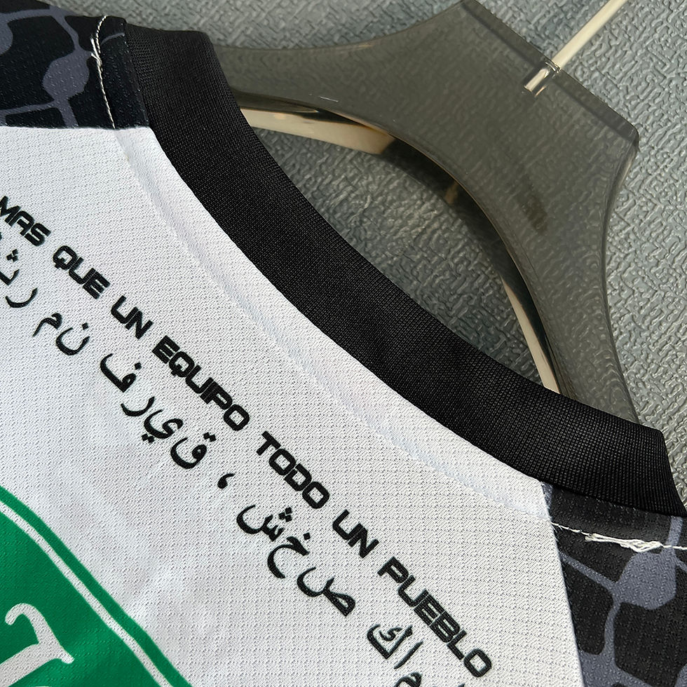 Küçük resim: Club Deportivo Palestino 25/26 İç Saha Filistin Forması