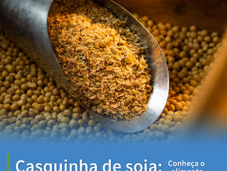 Casquinha de soja