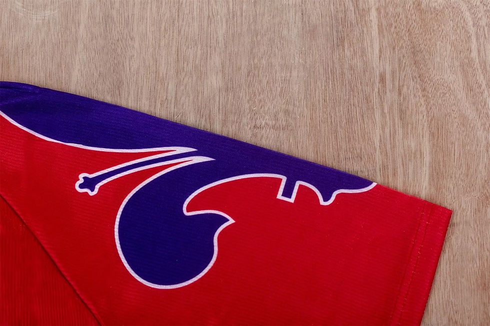 Küçük resim: Fiorentina 95/96 Alternatif Forması