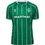 Küçük resim: Werder Bremen 25/26 İç Saha Forması