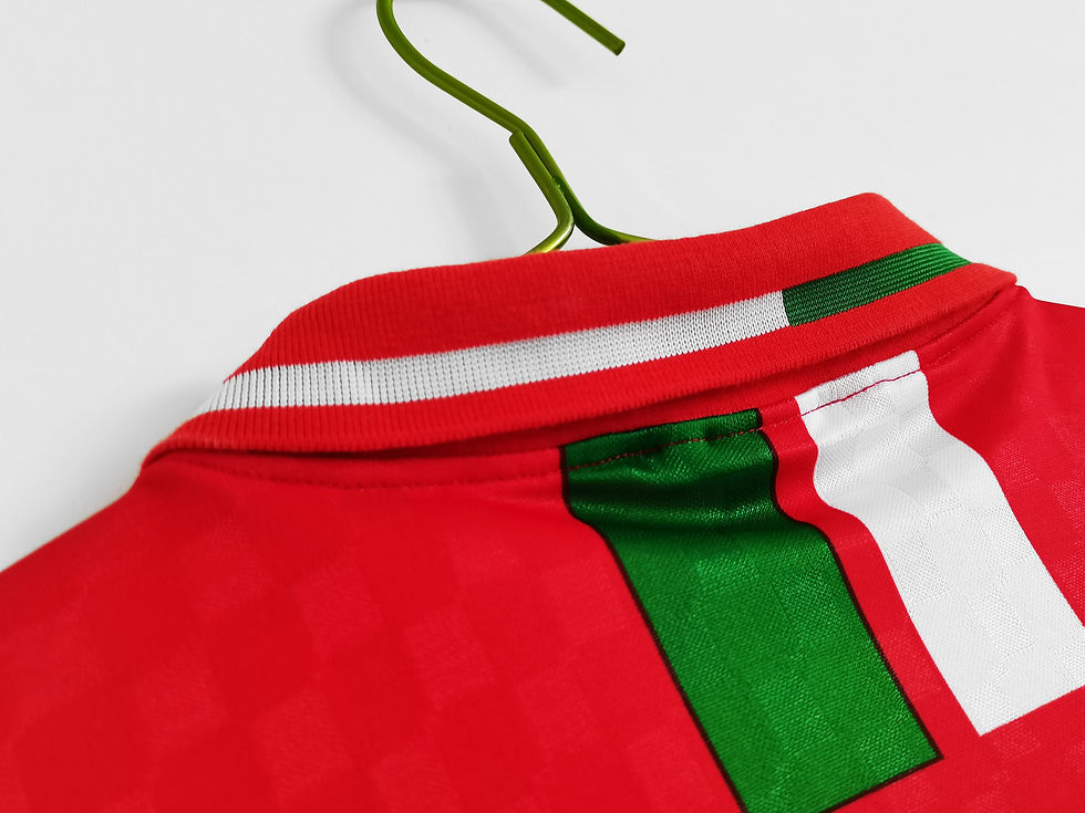 Küçük resim: Galler 1996 İç Saha Forması