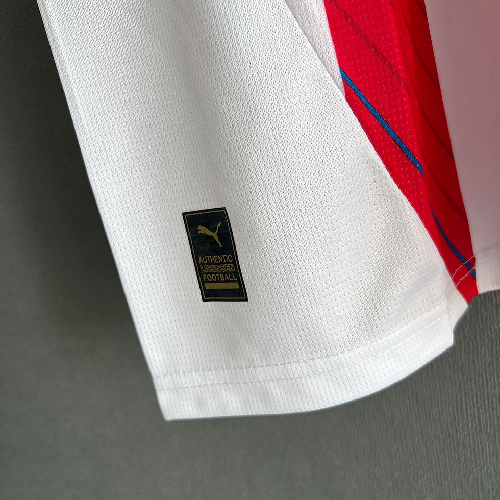 Küçük resim: Paraguay 24/25 İç Saha Forması