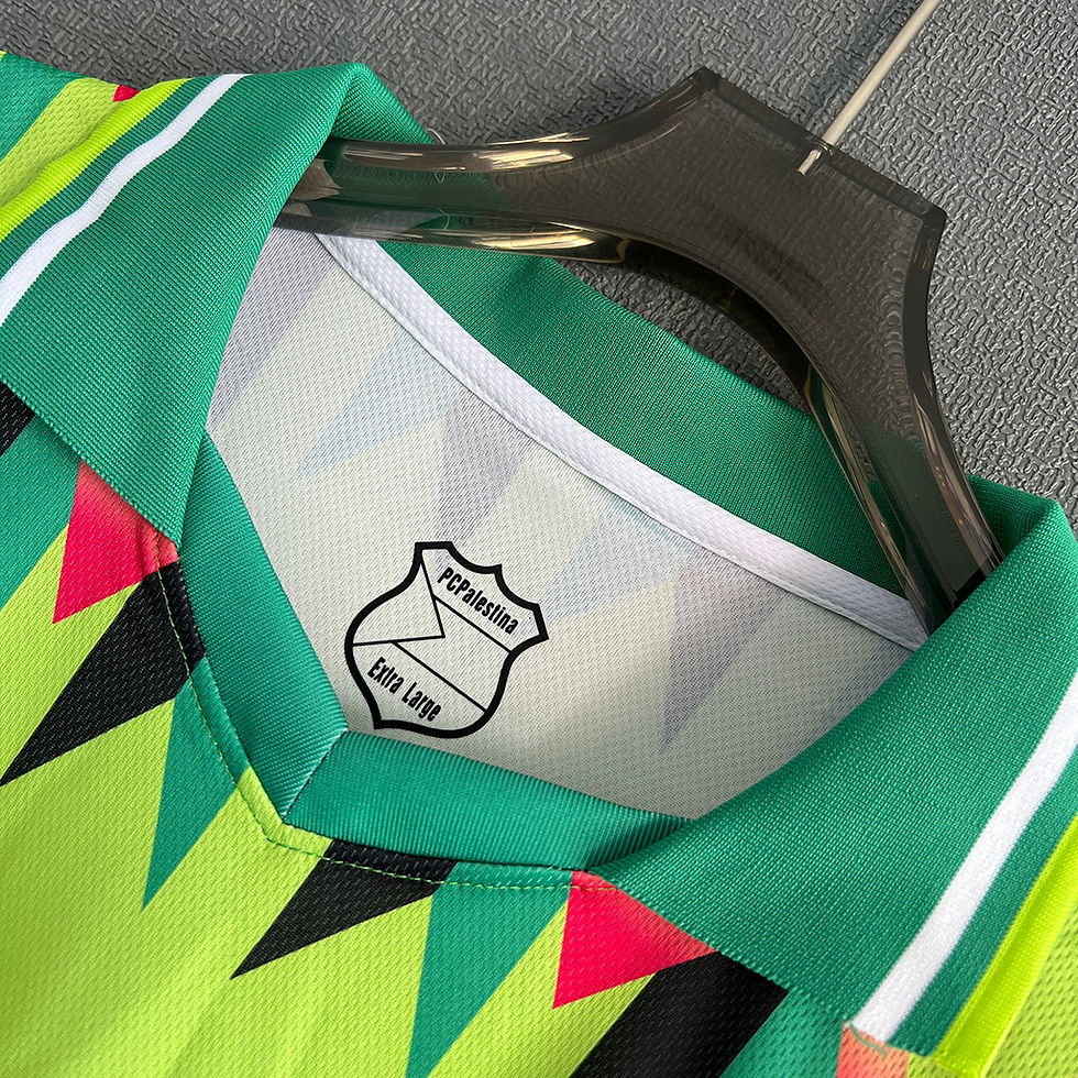 Küçük resim: Filistin 24/25 Konsept Forması