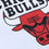 Küçük resim: Chicago Bulls 92/93 Bomber Mont