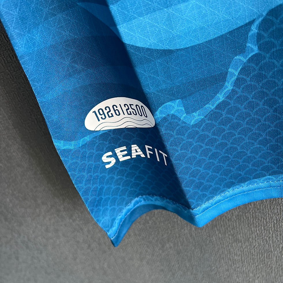 Küçük resim: Napoli 24/25 Dördüncü Forması