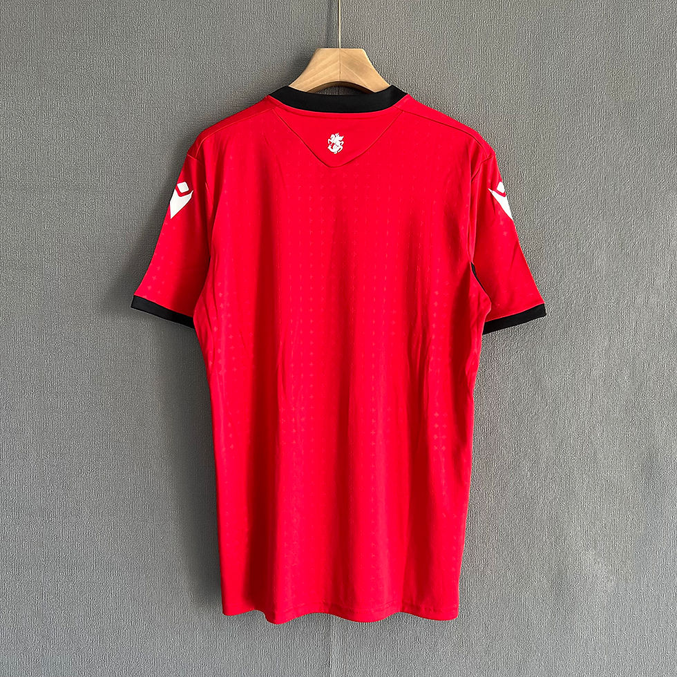 Küçük resim: Gürcistan 24/25 Deplasman Forması