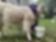 thumbnail_IMG_2058.jpg