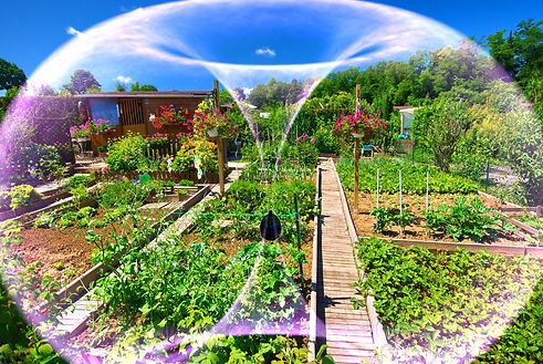 jardin 1.jpg