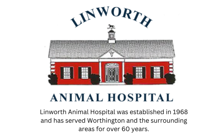 Birdie - Linworth Image_edited.png
