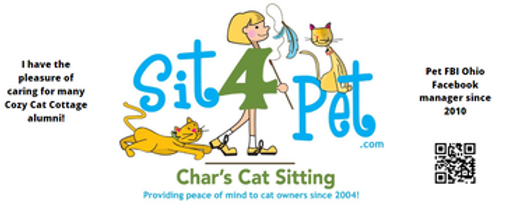 Birdie - Char Sit4Pet 4.png