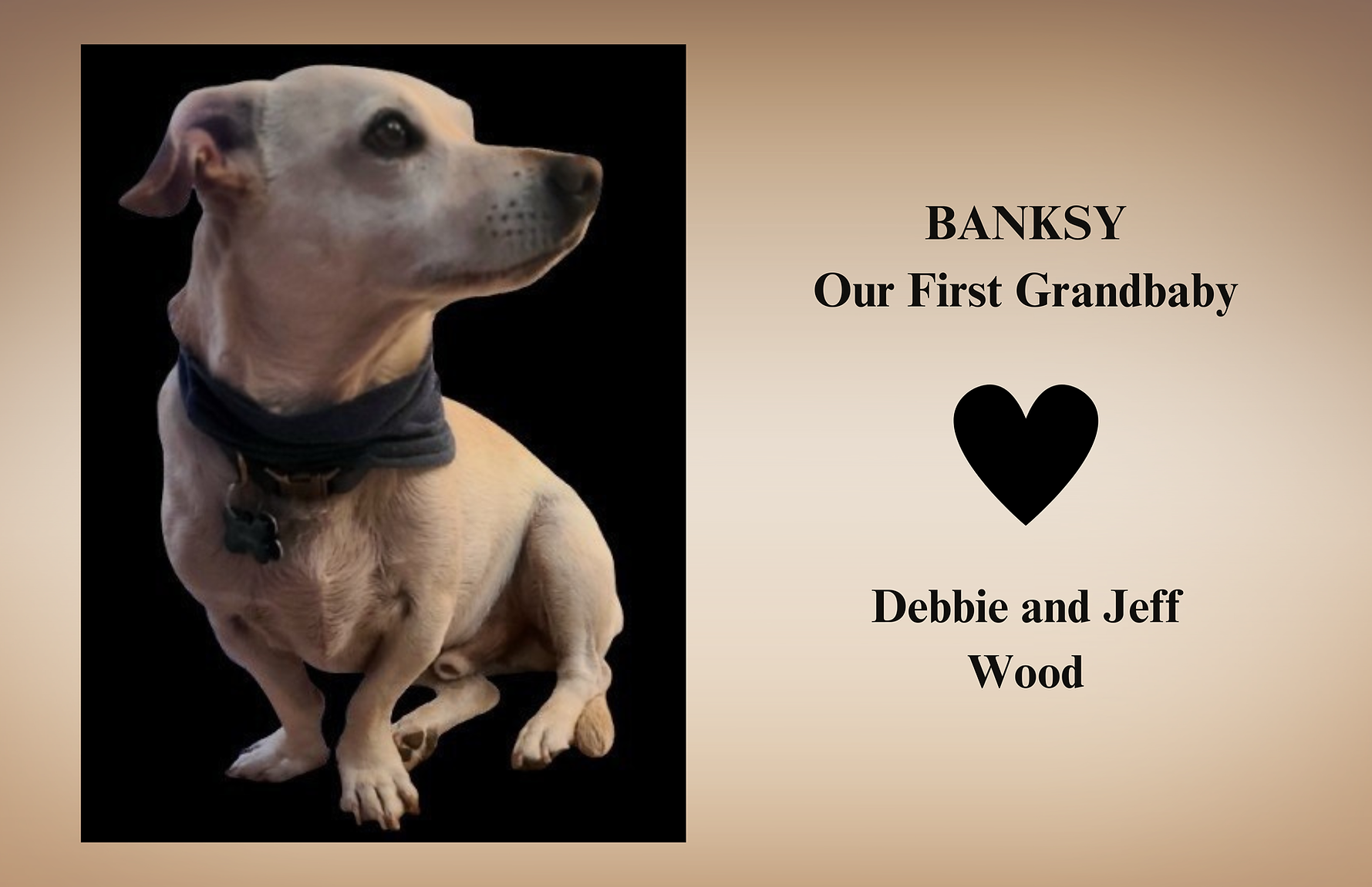Bronze - Deb Wood - BANKSY.png