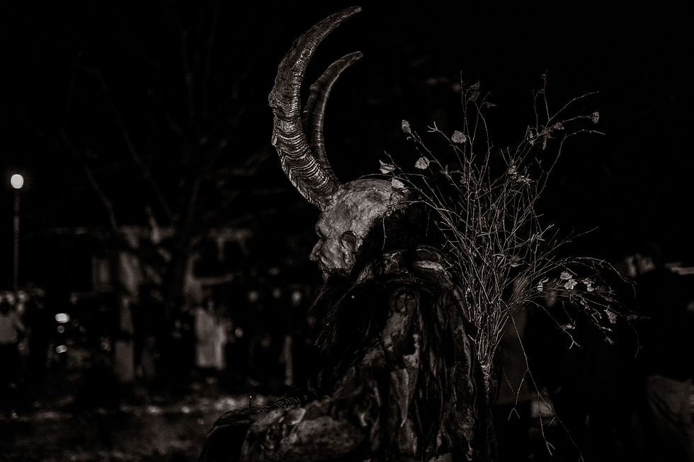 LP_01325.jpg