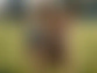 Dog Behavior Training Near Me