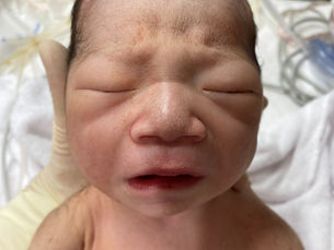 ミケネコ ファミリーに新顔現る!の巻