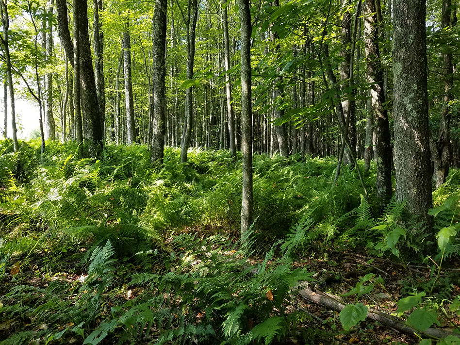 20190730_100155.jpg