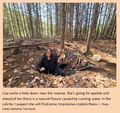 Ontario rockhound digging in a vein dyke by the swamp on Dark Star Crystal Mines property, yielding apatite and titanite crystals