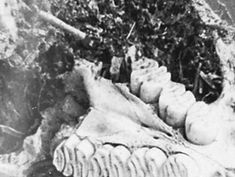 Screen Shot 2022-08-22 at 9.50.10 AM.png