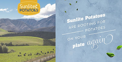 Sunlite - Facebook Ad 11.jpg