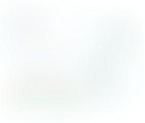 House Brand Identification and Matching, Performance Report