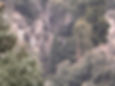 IMG_9612.jpeg