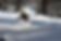 IMG_0297_edited.jpg