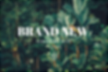 Untitled design (1).png