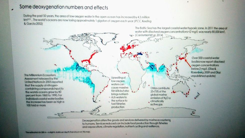 Some deoxygenation numbers and effects, Global Ocean Oxygen Network, global map of low oxygen coastal and deep ocean zones.