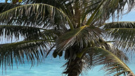 IMG_0177.JPEG