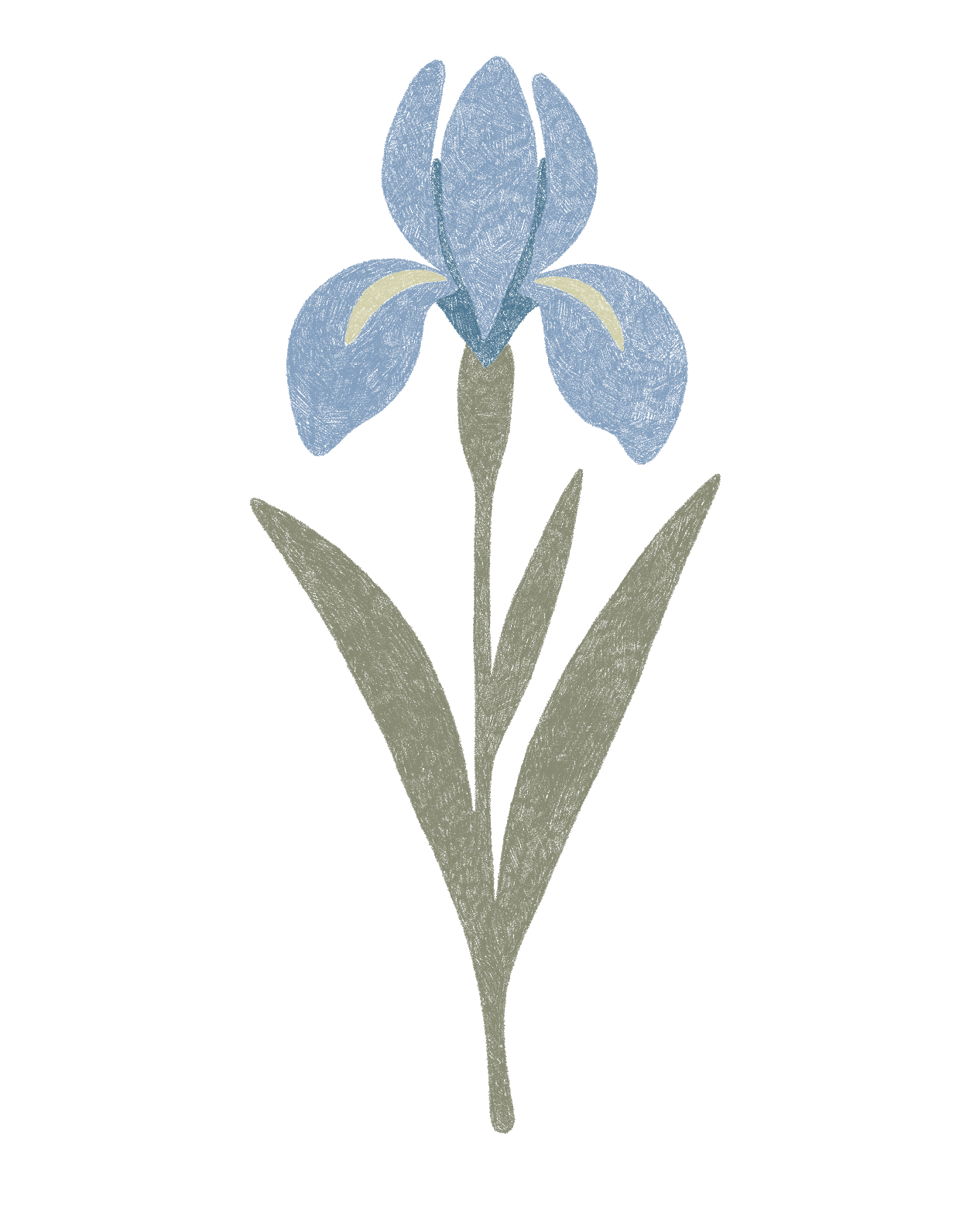 Illustration_sans_titre 2.png