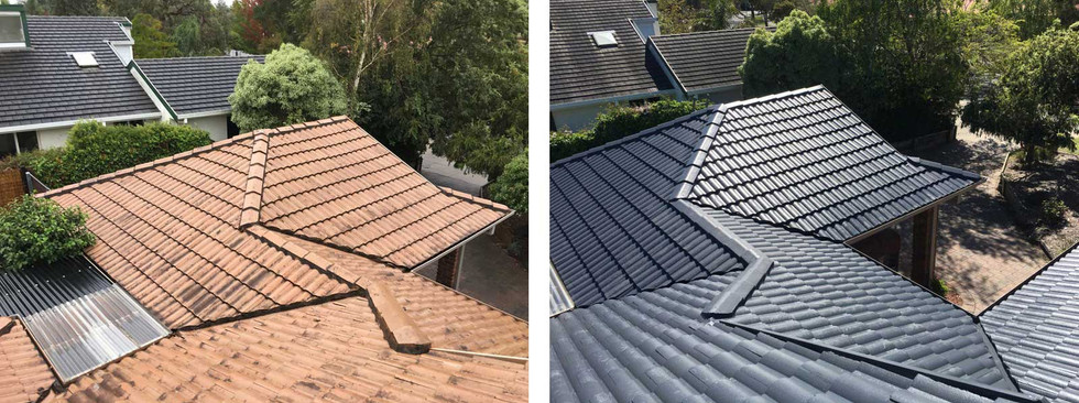 Roof Shingles.jpeg