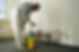 Mold Treatment.jpeg