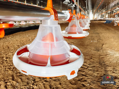 Poultry Feeders