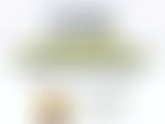 Cómo optimizar campañas de Google Ads en tu causa social: Civic Spotlight con Luis Betancourt