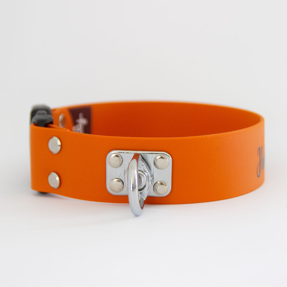 Miniatyrbild: Personligt BioThane® spårhalsband fast 38mm