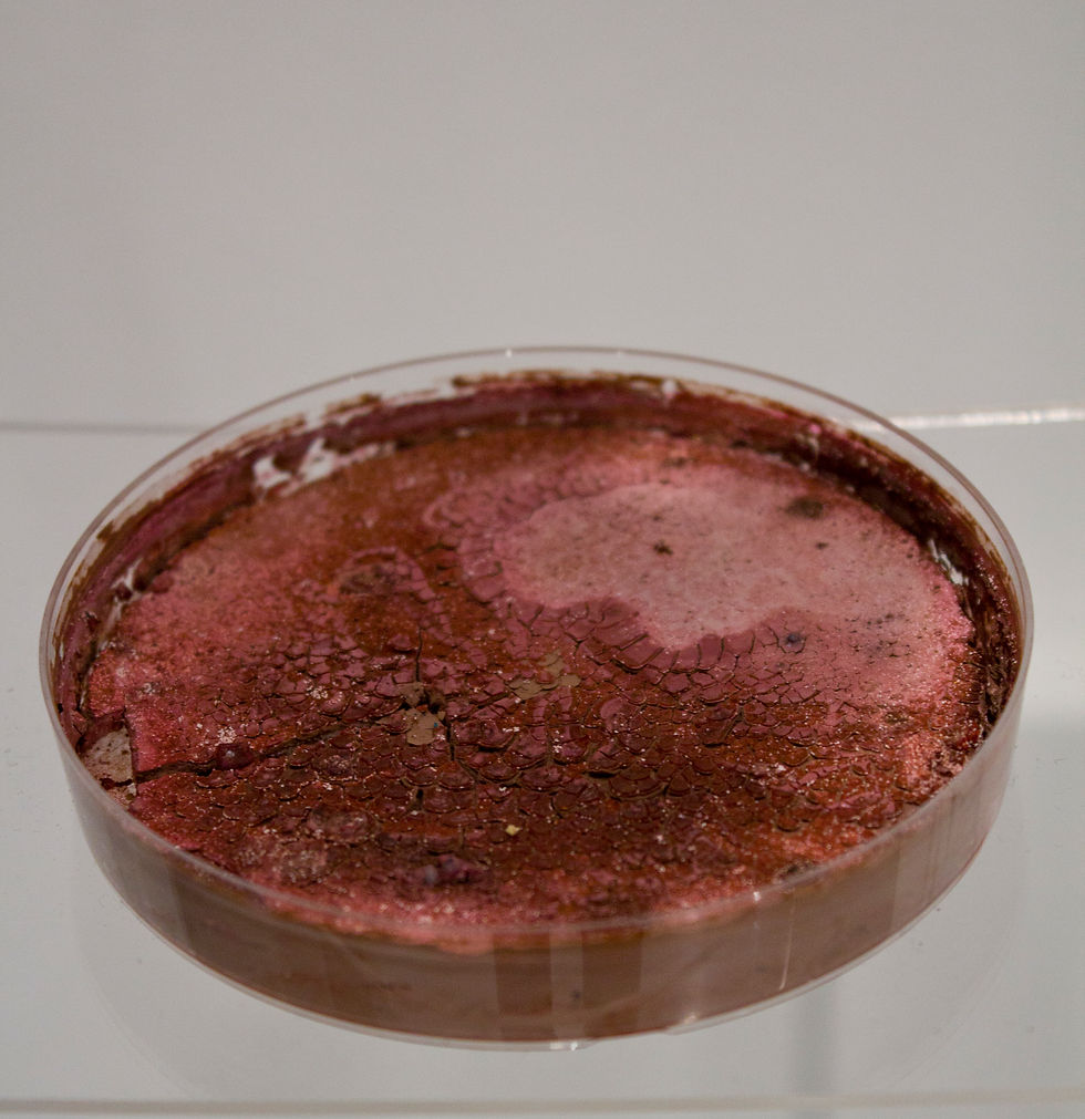 Collected Matter