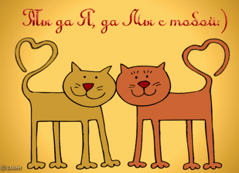 1391.gif