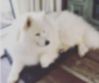 image1.jpeg