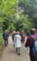 Walking.jpg