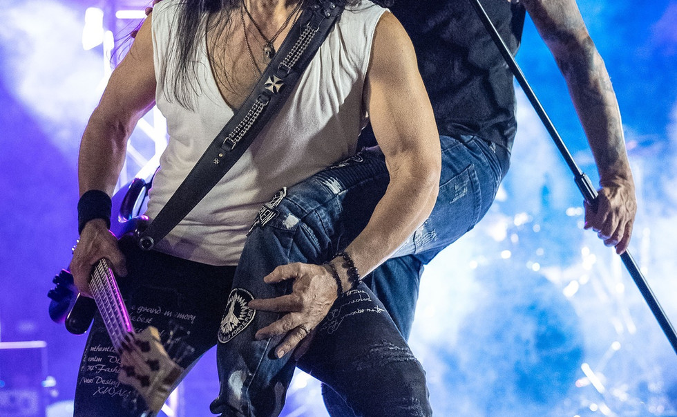 Plastic Kings Live at LouFest 2026 St. Louis, MO