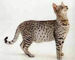 b2bd069946793851e617449bd674504c