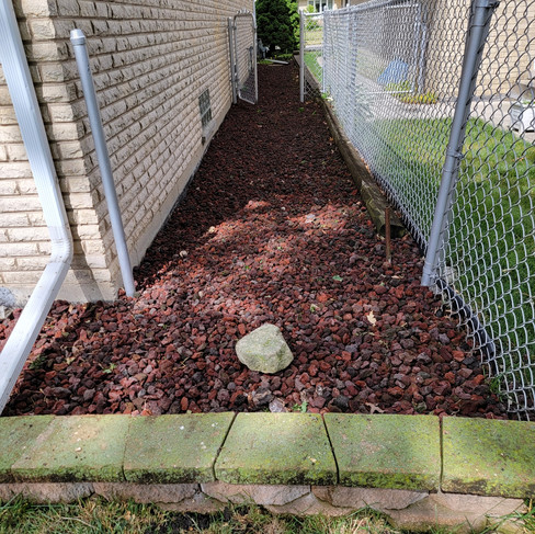 Previous Mulberry Tree Location Now Restored