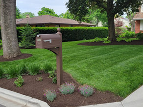 Residential property freshly detailed and mulch installed
