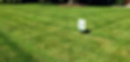 Dense Healthy Lawn - Seasonal Lawn Care by Pacocha Landscaping